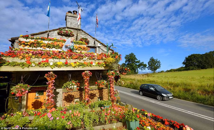 Tới thăm ngôi nhà tràn ngập sắc hoa