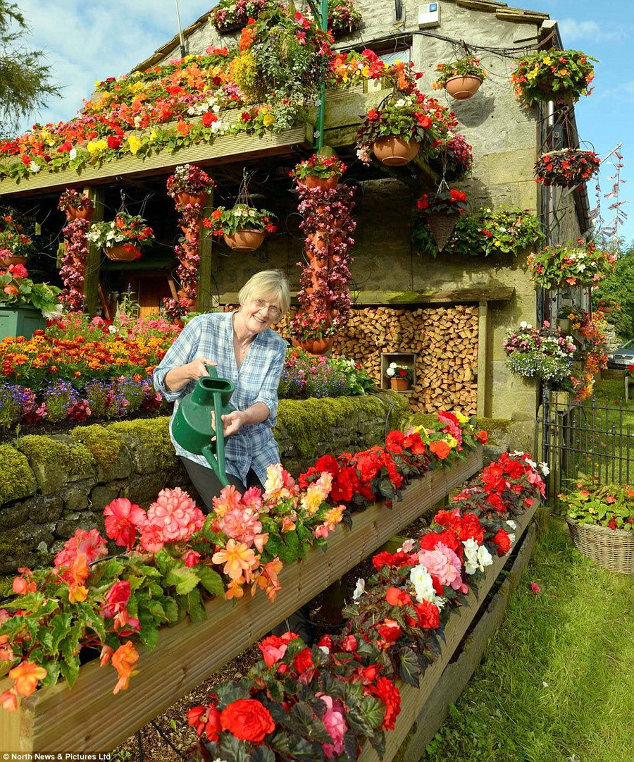 Tới thăm ngôi nhà tràn ngập sắc hoa ảnh 1 Anne Strange amongst the thousands of rainbow coloured blooms almost covering her house in North Yorkshire Read more: http://www.dailymail.co.uk/news/article-2188277/Blooming-beautiful-Couple-spend-evening-weekend-TWENTY-SIX-YEARS-covering-house-flowers.html#ixzz23trrlI8h