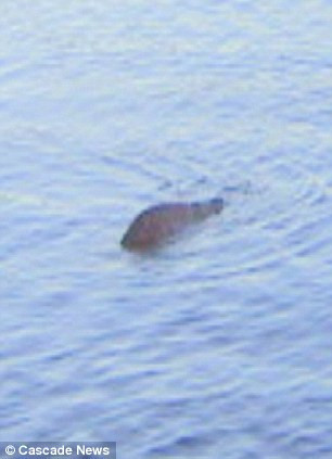 George, left, says he has even had the picture independently verified by a team of US military monster experts as well as a Nessie sighting specialist Read more: http://www.dailymail.co.uk/news/article-2183094/Skipper-claims-finally-proof-Loch-Ness-Monster-exists.html#ixzz22Xu8irE9