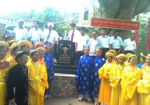 Lễ đón nhận Bằng công nhận cây đa Tía làng Dược Thượng là cây di sản Việt Nam của Hội Bảo vệ Thiên nhiên và Môi trường Việt Nam được tổ chức trang trọng L