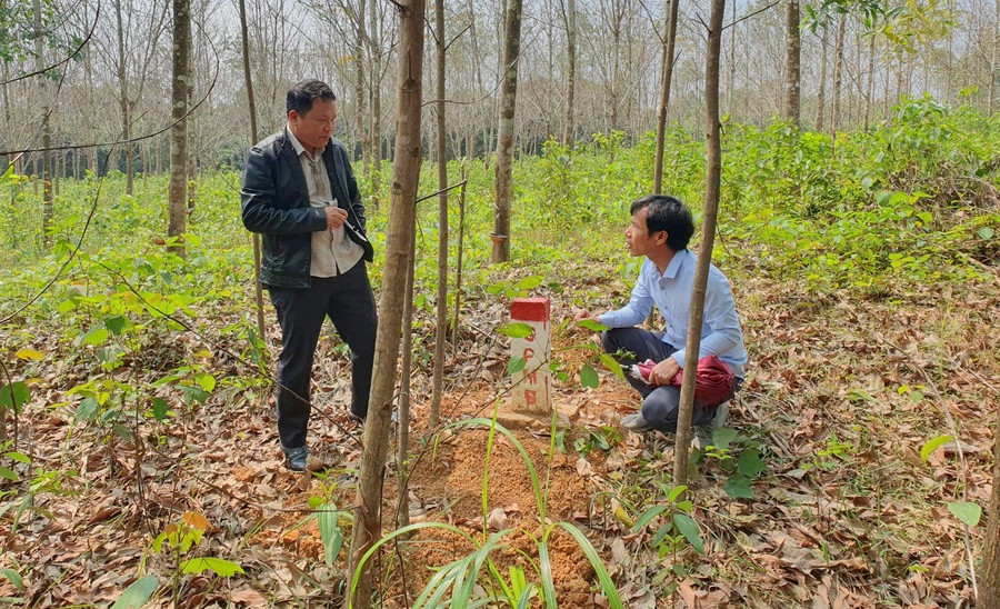 Nhiều cọc GPMB bị di chuyển so với vị trí cắm móc trước đó khiến người dân bức xúc.