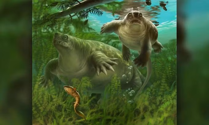 Mô phỏng loài Lalieudorhynchus gandi mới được phát hiện. Ảnh: Frederik Spindler.