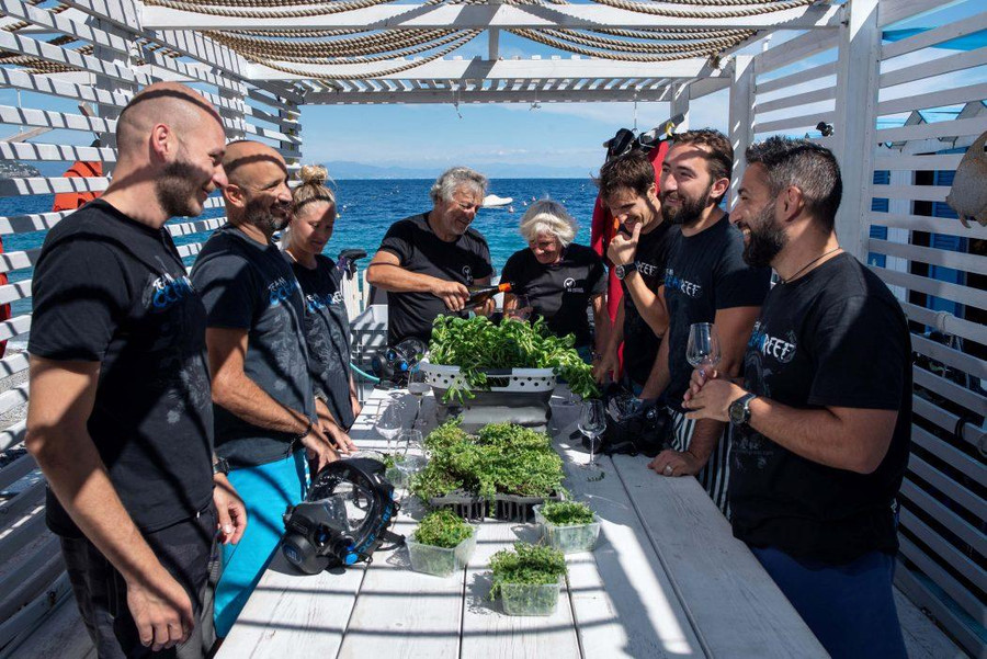 Nhóm Ocean Reef kỷ niệm vụ thu hoạch trên một bãi biển gần văn phòng thực địa. Ảnh: Giacomo d'Orlando. Nhóm Ocean Reef kỷ niệm vụ thu hoạch trên một bãi biển gần văn phòng thực địa. Ảnh: Giacomo d'Orlando.