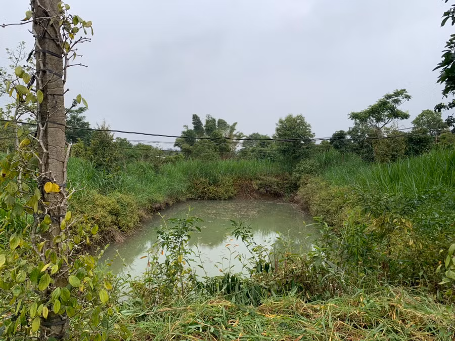 Khu vực 2 em B. và T. bị đuối nước.