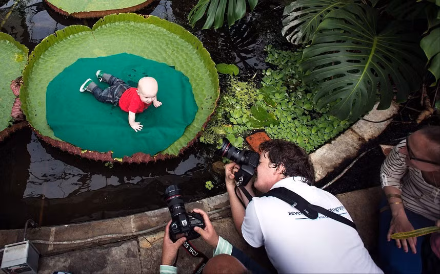 Những hình ảnh ấn tượng trong tuần ảnh 5 A baby lying on the leaf of a water lily is photographed at the Hortus Botanicus in Leiden, The Netherlands. The university botanical garden invited parents to have their babies pictured on the giant leaves by a professional photographer.