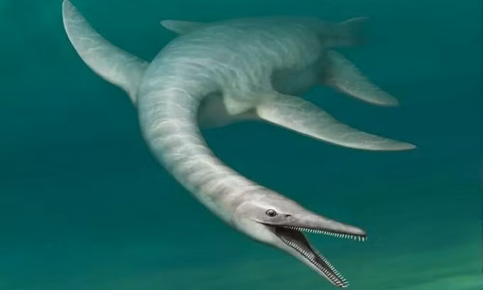 Mô phỏng loài Serpentisuchops pfisterae. Ảnh: Nathan Rogers.