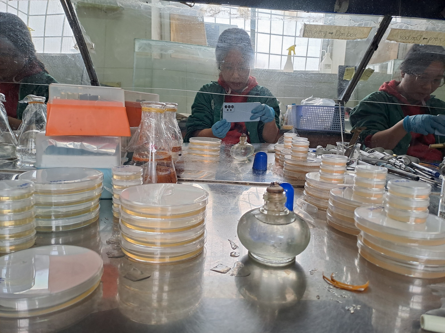 Cô Quyên thực hiện đề tài nghiên cứu tại Phòng thí nghiệm sinh học phân tử, khoa Sinh học, Trường ĐH Sư phạm Hà Nội. Cô Quyên thực hiện đề tài nghiên cứu tại Phòng thí nghiệm sinh học phân tử, khoa Sinh học, Trường ĐH Sư phạm Hà Nội.