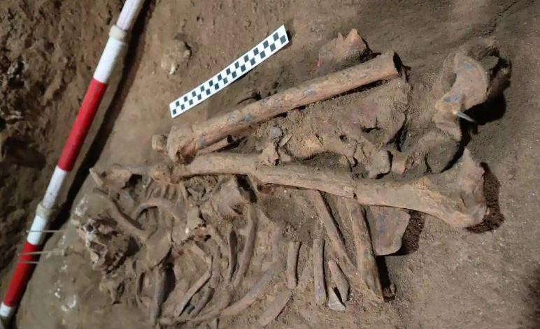 Các nhà khảo cổ học Australia và Indonesia tình cờ phát hiện ra bộ xương của một thanh niên bị cắt cụt chân cách đây 31.000 năm. Ảnh: Tim Maloney.