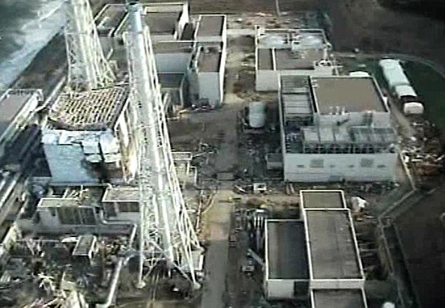 IAEA: Thảm họa hạt nhân Nhật Bản &quot;khác hoàn toàn&quot; Chernobyl