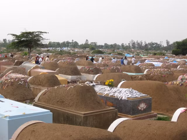 Thanh Minh trong tiết tháng ba ảnh 3