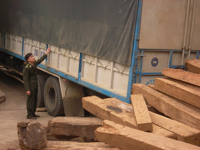 Tang vật thu được trong một vụ bắt vận chuyển gỗ trái phép trên quốc lộ 127.