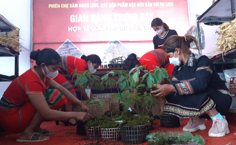 Người dân bày bán sâm tại phiên chợ sâm Ngọc Linh lần 1. Người dân bày bán sâm tại phiên chợ sâm Ngọc Linh lần 1.