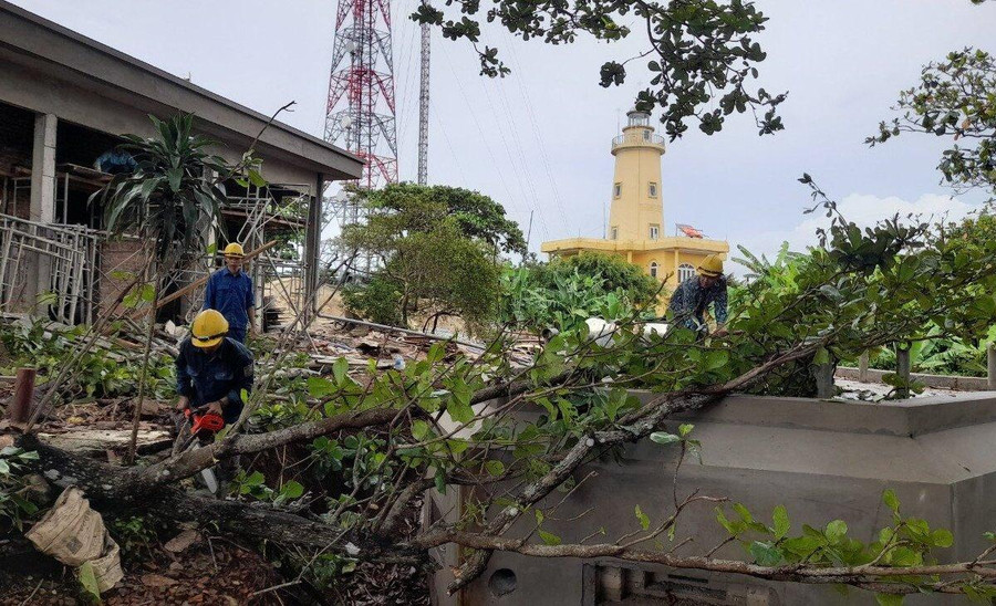 Cắt tỉa cây xanh tránh bão. Cắt tỉa cây xanh tránh bão.