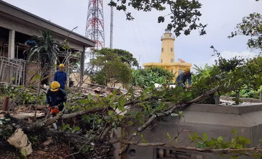 Cắt tỉa cây xanh tránh bão. Cắt tỉa cây xanh tránh bão.