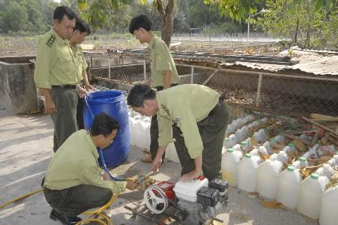 Đồng bằng sông Cửu Long: Cháy rừng rình rập