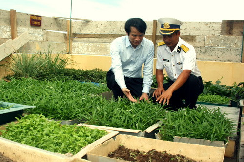 Thứ trưởng Phạm Mạnh Hùng thăm vườn rau tăng gia của cán bộ chiến sỹ trên đảo Đá Tây. Ảnh: gdtd.vn Thứ trưởng Phạm Mạnh Hùng thăm vườn rau tăng gia của cán bộ chiến sỹ trên đảo Đá Tây. Ảnh: gdtd.vn