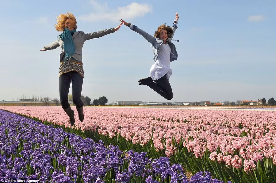 Khu vườn lớn nhất hành tinh ảnh 12