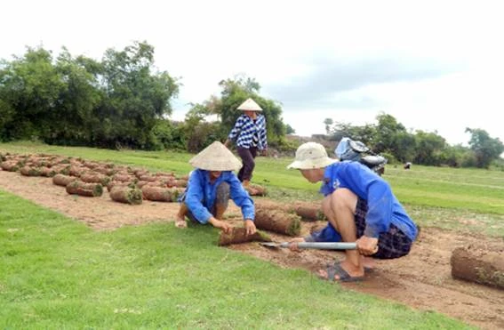 Nghề siêu lợi nhuận ở Điền Xá