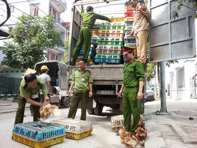 Virus cúm A/H7N9: Chưa &quot;lộ sáng&quot;!