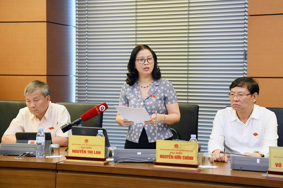 Đại biểu Nguyễn Thị Lan.