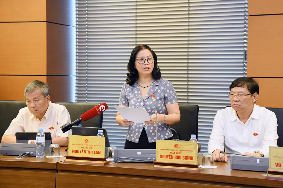 Đại biểu Nguyễn Thị Lan.