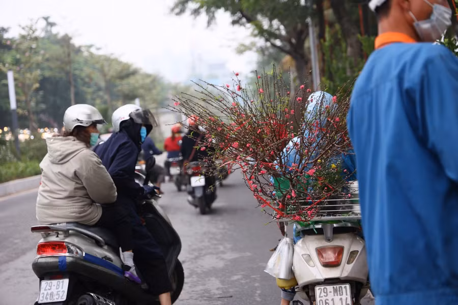 Những gánh hàng hoa chở đầy cành đào xuân đỏ thắm đã xuất hiện trên nhiều tuyến phố Thủ đô báo hiệu năm mới Nhâm Dần đã đến rất gần.