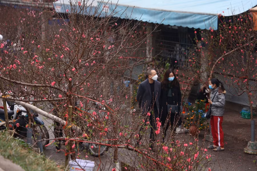 Sắc xuân ngập tràn nhiều đường phố Hà Nội ảnh 7