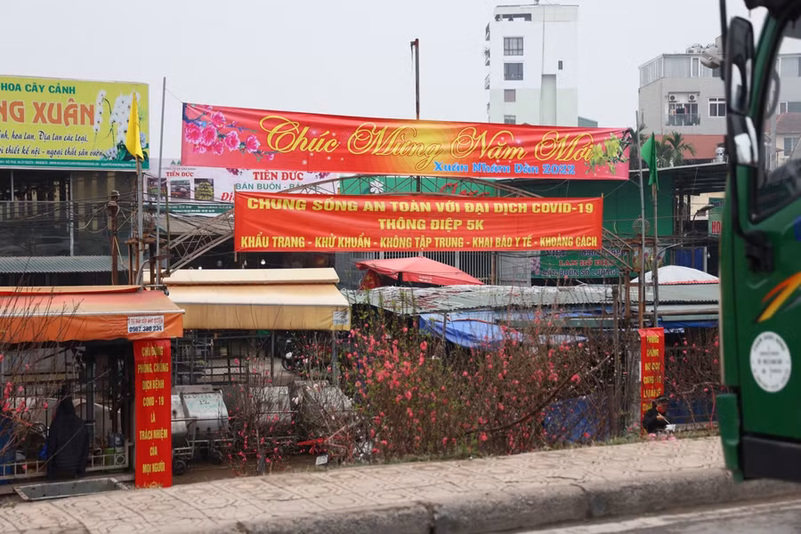 Những cây đào, cành đào Nhật Tân đã bắt đầu khoe sắc và được bày bán dọc chợ hoa Quảng An (quận Tây Hồ), phục vụ nhu cầu chơi hoa sớm của người dân Thủ đô. Dù còn hai tuần nữa mới tới Tết Nguyên đán năm 2022 nhưng từ thời điểm này hoạt động mua bán đào Tết đã diễn ra khá nhộn nhịp, tuy không bằng mọi năm do ảnh hưởng của tình hình dịch Covid-19 trên địa bàn.