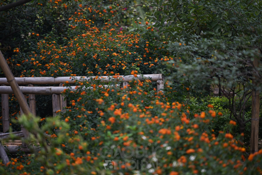 Tại nơi đây, cho dù là góc nào bạn cũng có thể chụp được những bức hình đẹp.