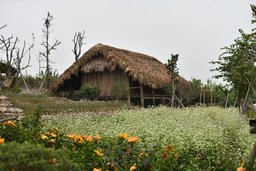 Ngay khi bước chân vào ngôi làng, khu vực Tây bắc sẽ khiến bạn thích thú.