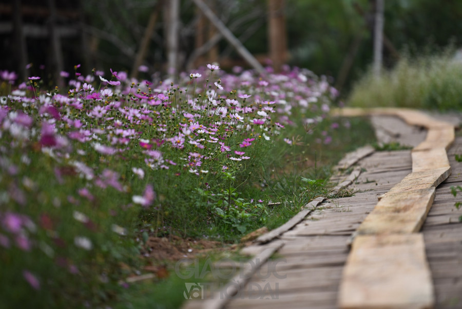 Trở về tuổi thơ với ngôi làng ngay giữa lòng Hà Nội  ảnh 3