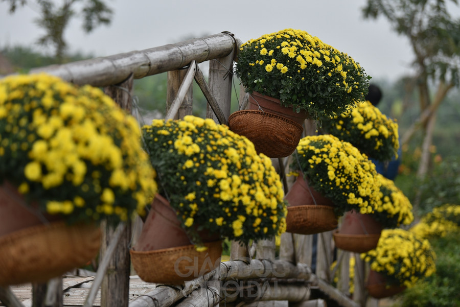 Trở về tuổi thơ với ngôi làng ngay giữa lòng Hà Nội  ảnh 13