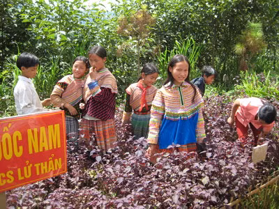 Giáo dục dân tộc luôn được quan tâm