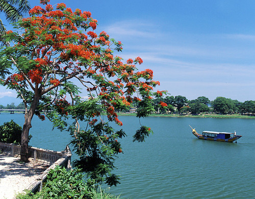 Tôi sẽ về sông nước của quê hương Tôi sẽ về sông nước của tình thương. (ảnh: Internet)