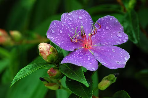 Nghệ thuật sống hay sống nghệ thuật?