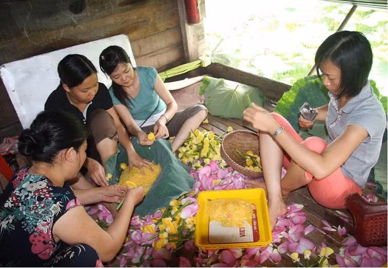 Công việc của những người ở Hồ Tây là bứt cánh hoa, tách lấy hạt “gạo sen” trên đầu các nhụy, đây là phần giá trị nhất của sen và được dùng để ướp chè