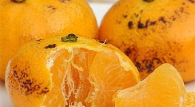5 mẹo dân gian trị ho không cần kháng sinh bạn không nên bỏ lỡ