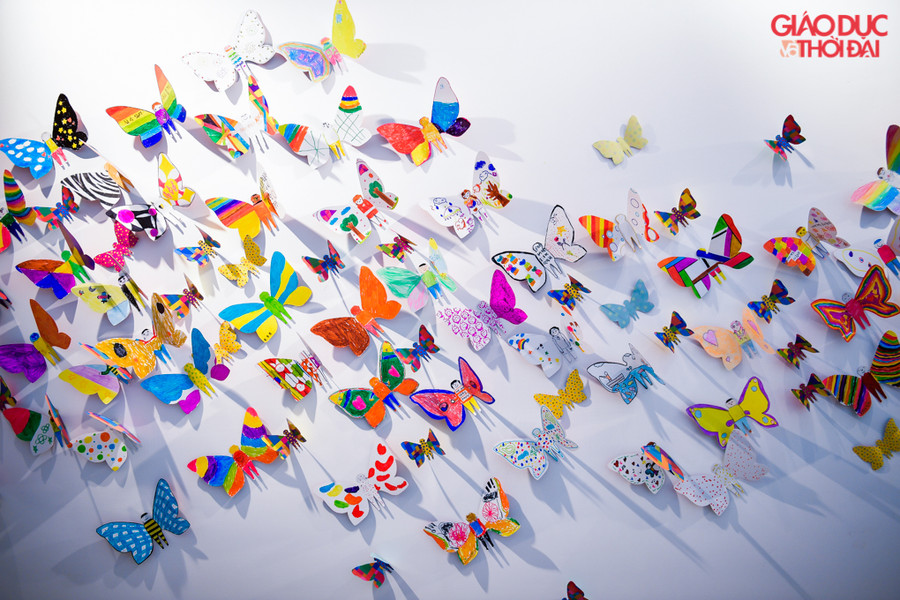 Cận cảnh những cánh bướm rực rỡ sắc màu.