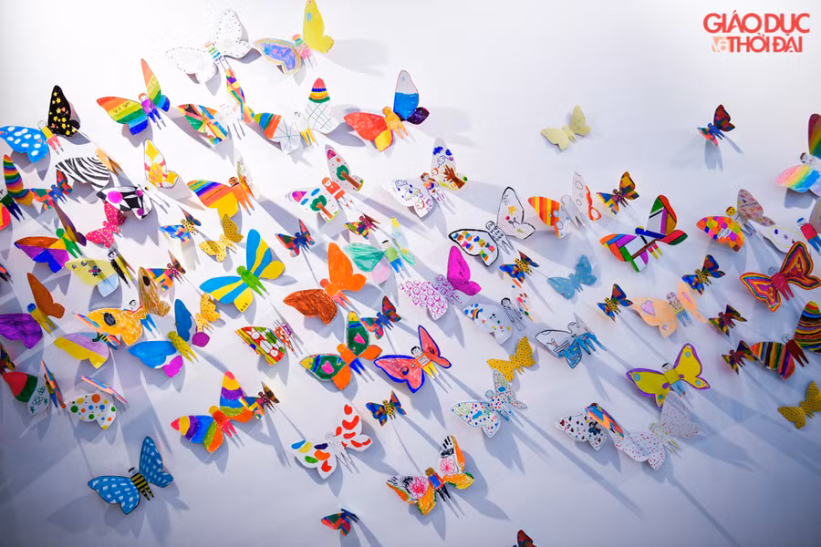 Cận cảnh những cánh bướm rực rỡ sắc màu.