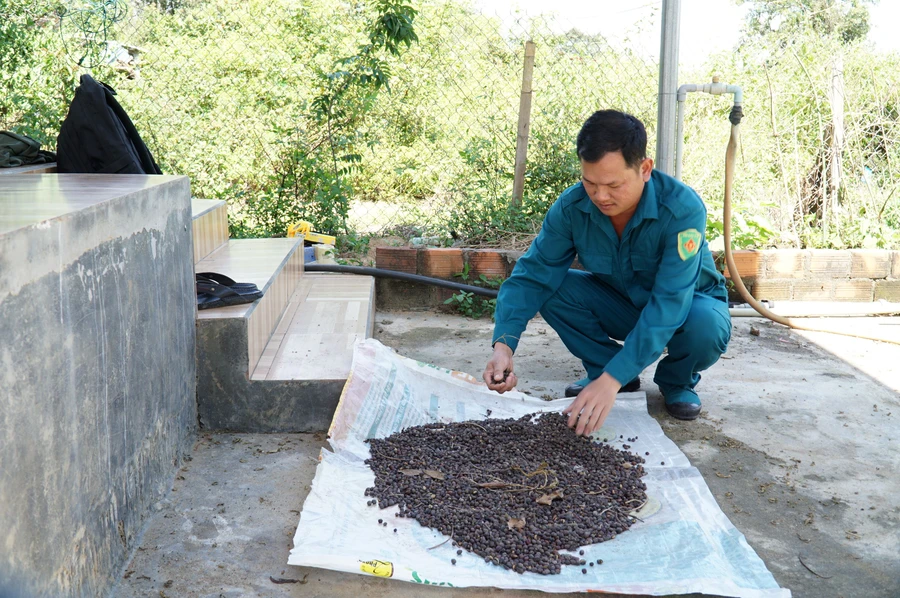 Xã Kon Đào tuyên truyền, hỗ trợ nhiều mô hình phát triển kinh tế để người dân thoát nghèo.