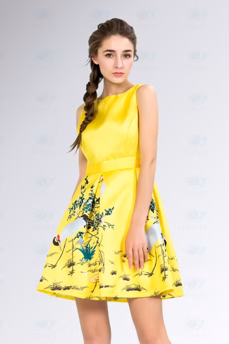 Ngay dau nam cuc may man khi dien vay hoa tiet chim hac - Anh 10