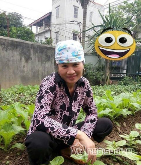 Le Thi Dan: tu co gai chan que den co nang showbiz - Anh 16