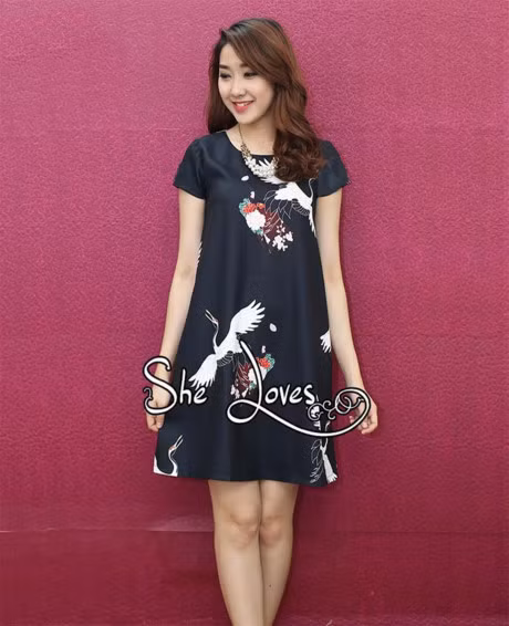 Ngay dau nam cuc may man khi dien vay hoa tiet chim hac - Anh 8