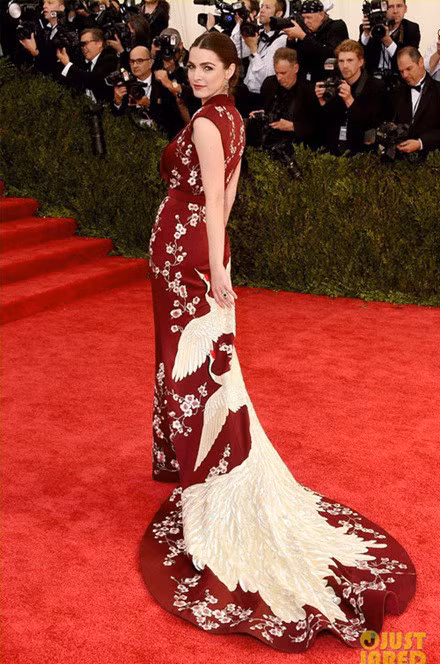 Ngay dau nam cuc may man khi dien vay hoa tiet chim hac - Anh 6