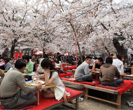 Nhat Ban gioi thieu giay ve sinh thong minh - Anh 1