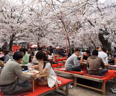 Nhat Ban gioi thieu giay ve sinh thong minh - Anh 1