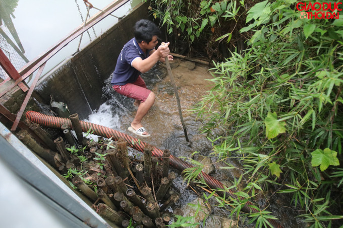 Khu vực mương dẫn nước vào ao cá anh Dũng, dầu bám khắp nơi, từ ống dẫn, đến những cây cối quanh mương.
