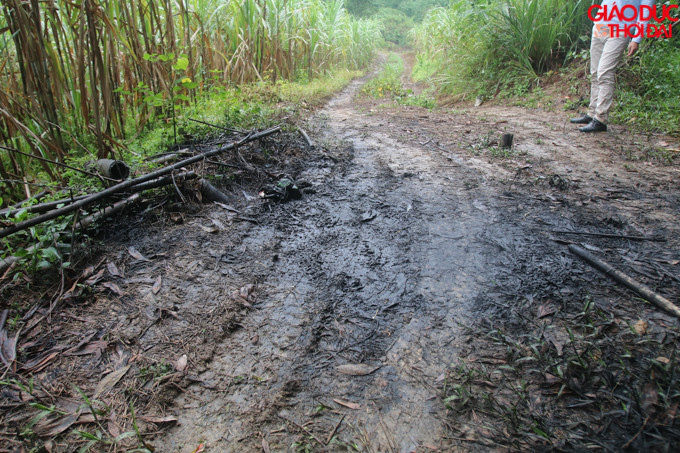 Con đường dẫn vào suối rất nhiều chỗ loang lổ vết đen của dầu.
