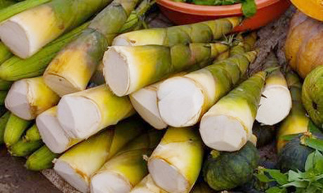 Những người nào tuyệt đối không được ăn măng tươi? - Ảnh 1 Nhung nguoi nao tuyet doi khong duoc an mang tuoi? - Anh 1