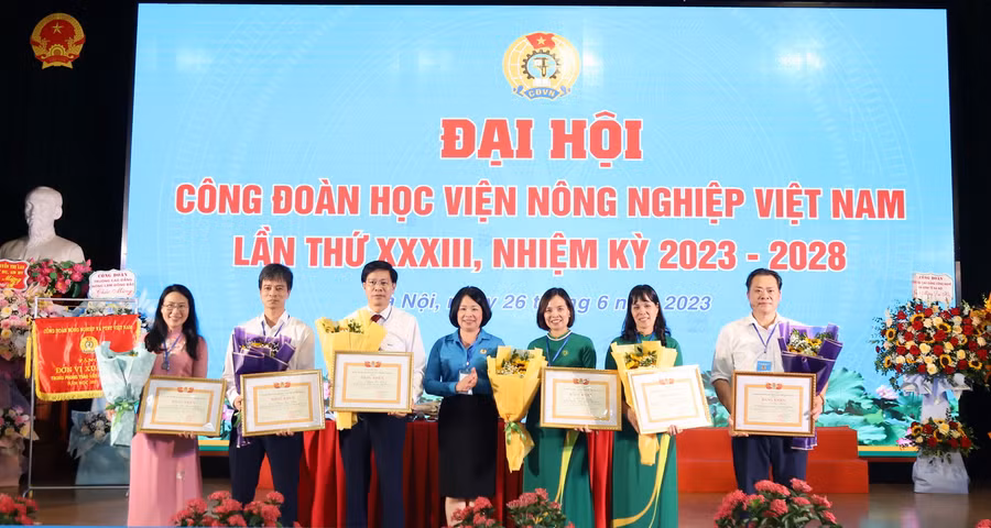 Nhân dịp này, nhiều tập thể, cá nhân được tặng Bằng khen, Giấy khen các cấp.